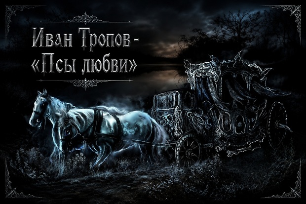 Псы любви